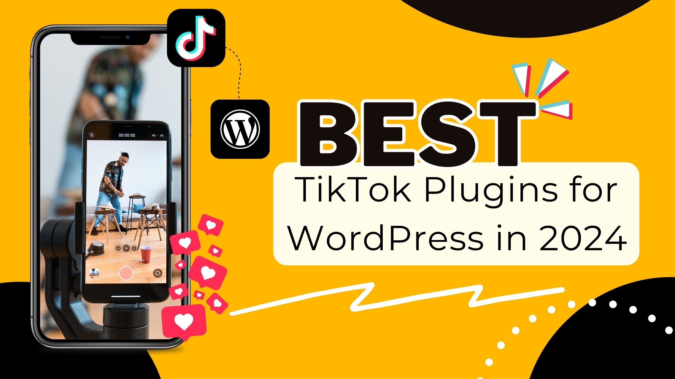 TikTok Plugins for WordPress 